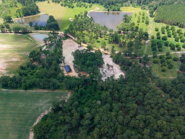 TBD Pittman Rd, Cobbtown, GA 30420