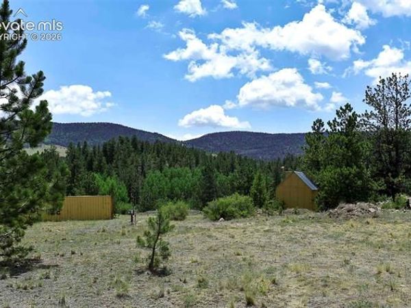 376 Copeland Road, Guffey, CO 80820