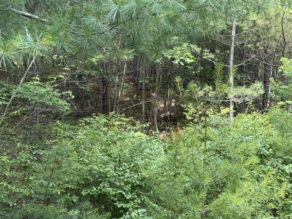Lot 068011 Shore Road , Bremen, ME 04551