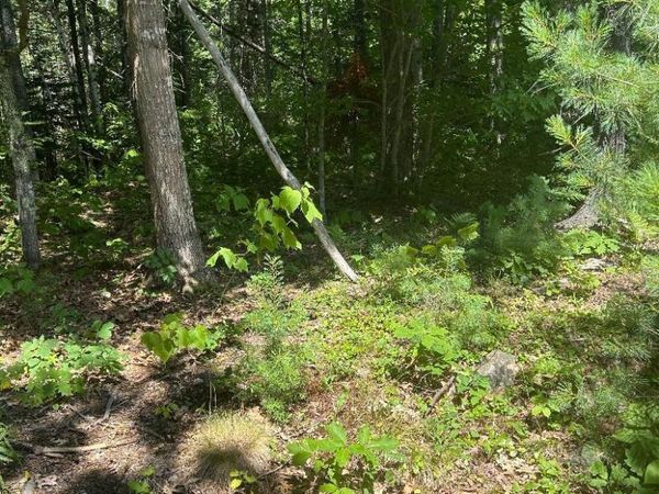 7 Shackleton's Way , Boothbay, ME 04537