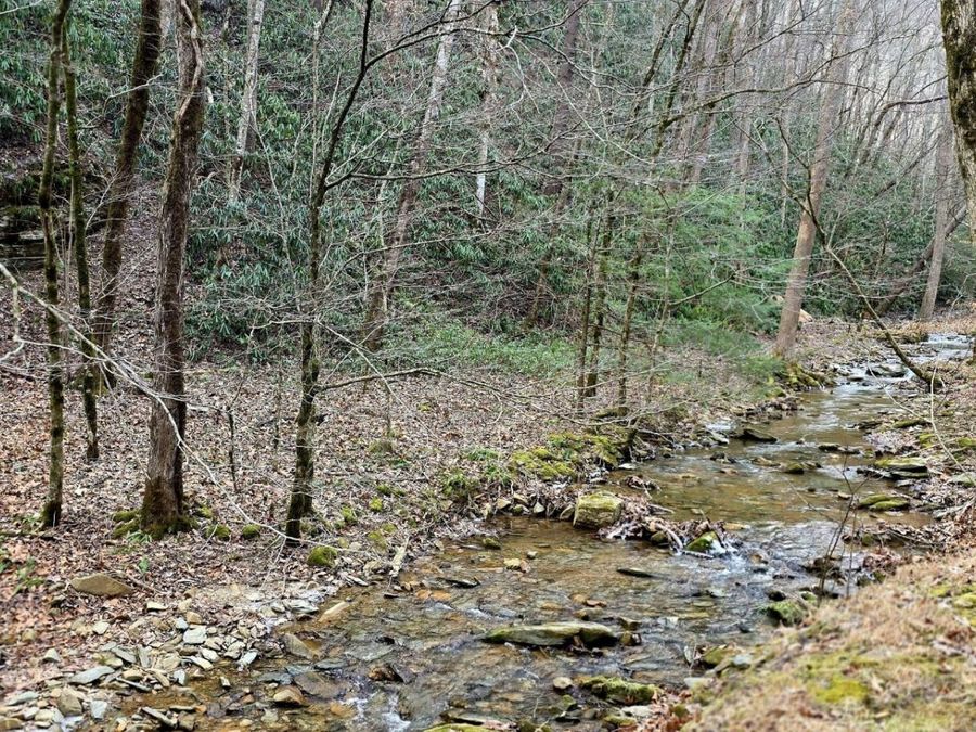Property Image 11
