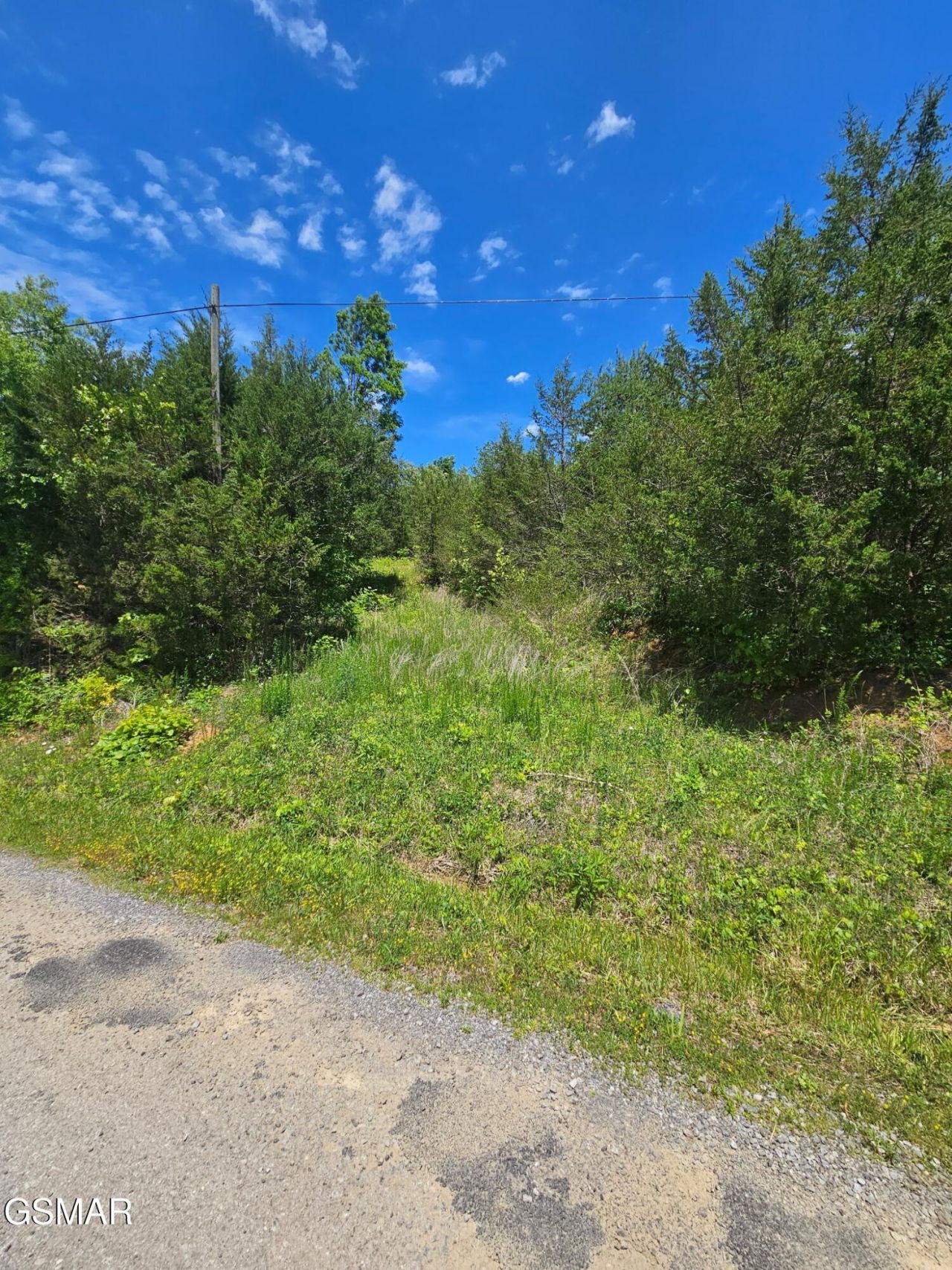 335 Oakwood Road , Lot #20, Midway, TN 37809 Main Photo