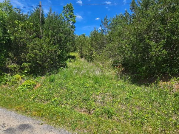 335 Oakwood Road , Unit 20, Midway, TN 37809
