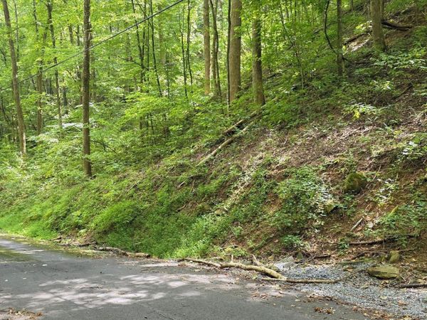 25 Black Walnut Flats Rd, Unit 0025, Sevierville, TN 37862