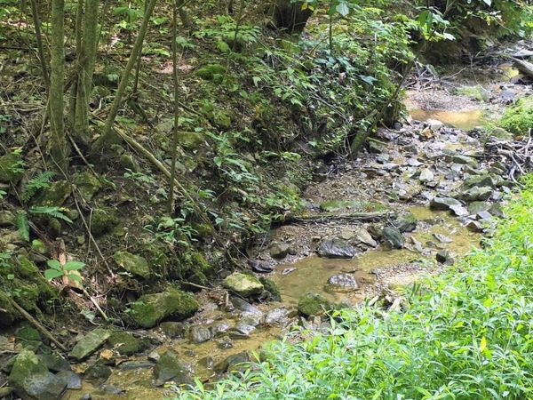 16 Black Walnut Flats Rd, Unit 16, Sevierville, TN 37862