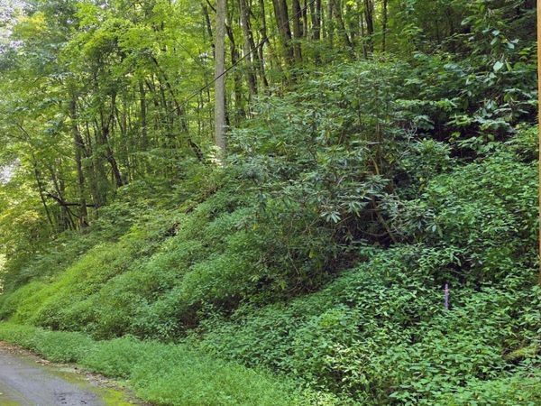 28 Black Walnut Flats Rd, Unit 28, Sevierville, TN 37862