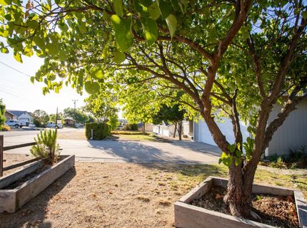 2404 Quiver Dr, Ione, CA 95640 Photo