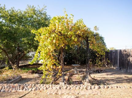 2404 Quiver Dr, Ione, CA 95640 Photo