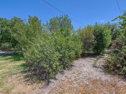 6229 Rio Linda Blvd, Rio Linda, CA 95673 Photo