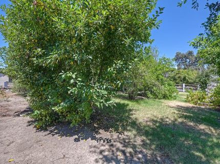 6229 Rio Linda Blvd, Rio Linda, CA 95673 Photo