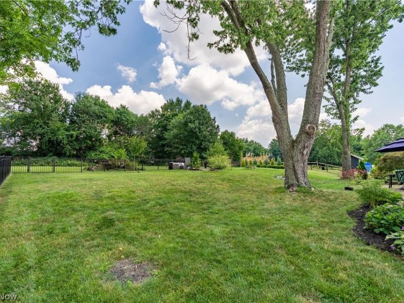 7328 Lake O Springs Avenue NW, North Canton, OH 44720 Photo 46