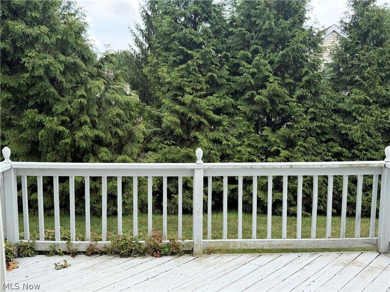 8531 Ravenswood Lane, Macedonia, OH 44056 Photo 25