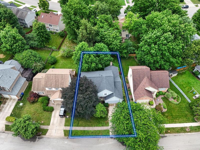 4217 Eagle Head Drive, Columbus, OH 43230 Photo 1