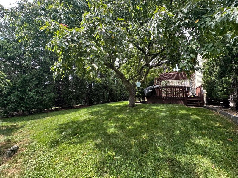 3325 Paradise Avenue, Hilliard, OH 43026 Photo 22