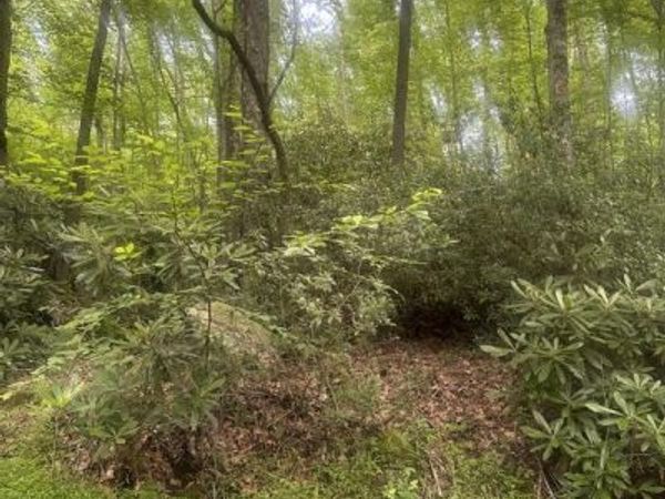 BEAR DRIVE E , OAKLAND, MD 21550