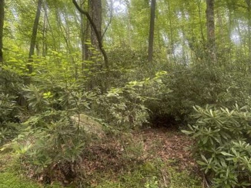 Bear Drive E , Oakland, MD 21550 Main Photo