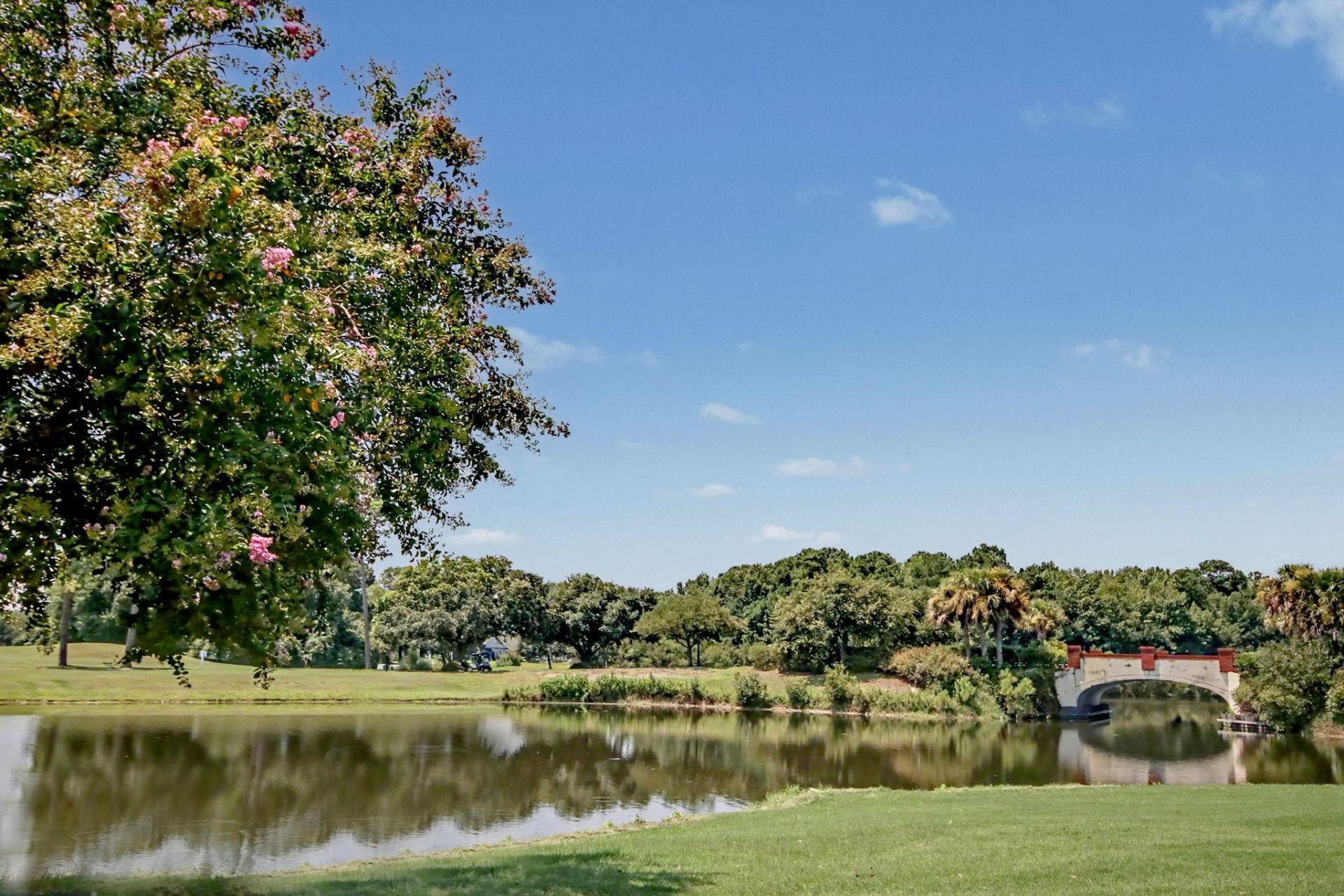 2019 Wood Stork Dr. Photo 80