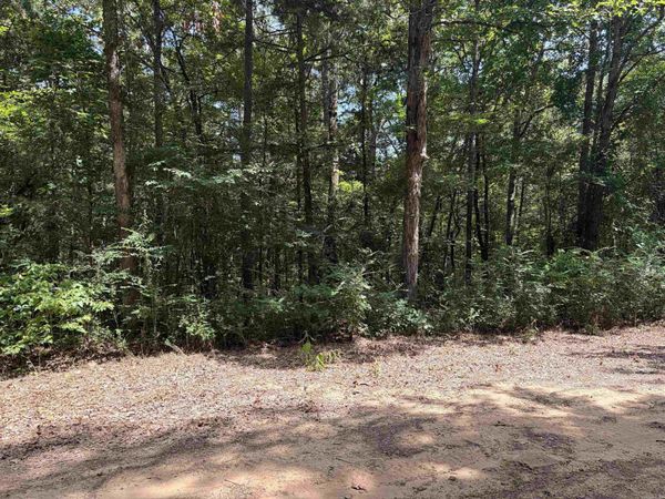 Lot 116-117 Del Rio Way , Greers Ferry, AR 72067