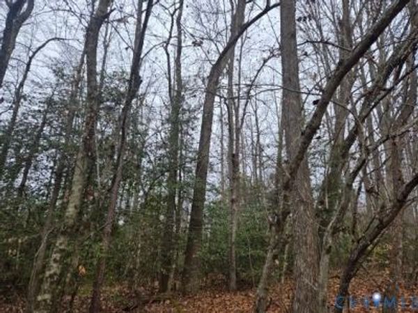 0 Tabscott Road , Kents Store, VA 23084
