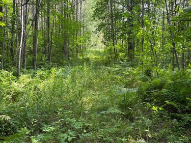 560th Street, Palisade, MN 56469