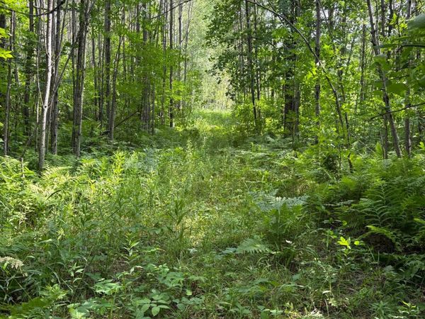 560th Street, Palisade, MN 56469