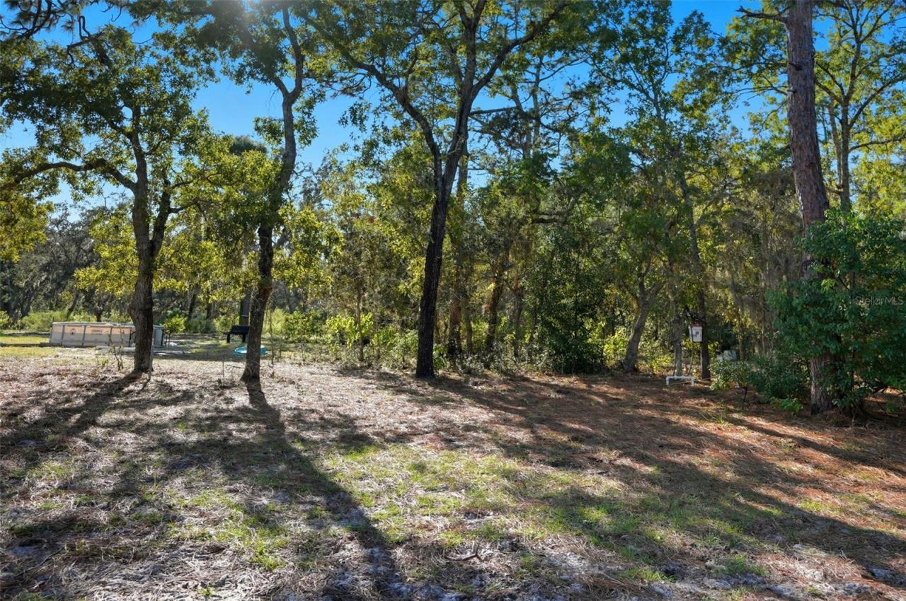 17539 Edwin Terrace , Hudson, FL 34667 Photo