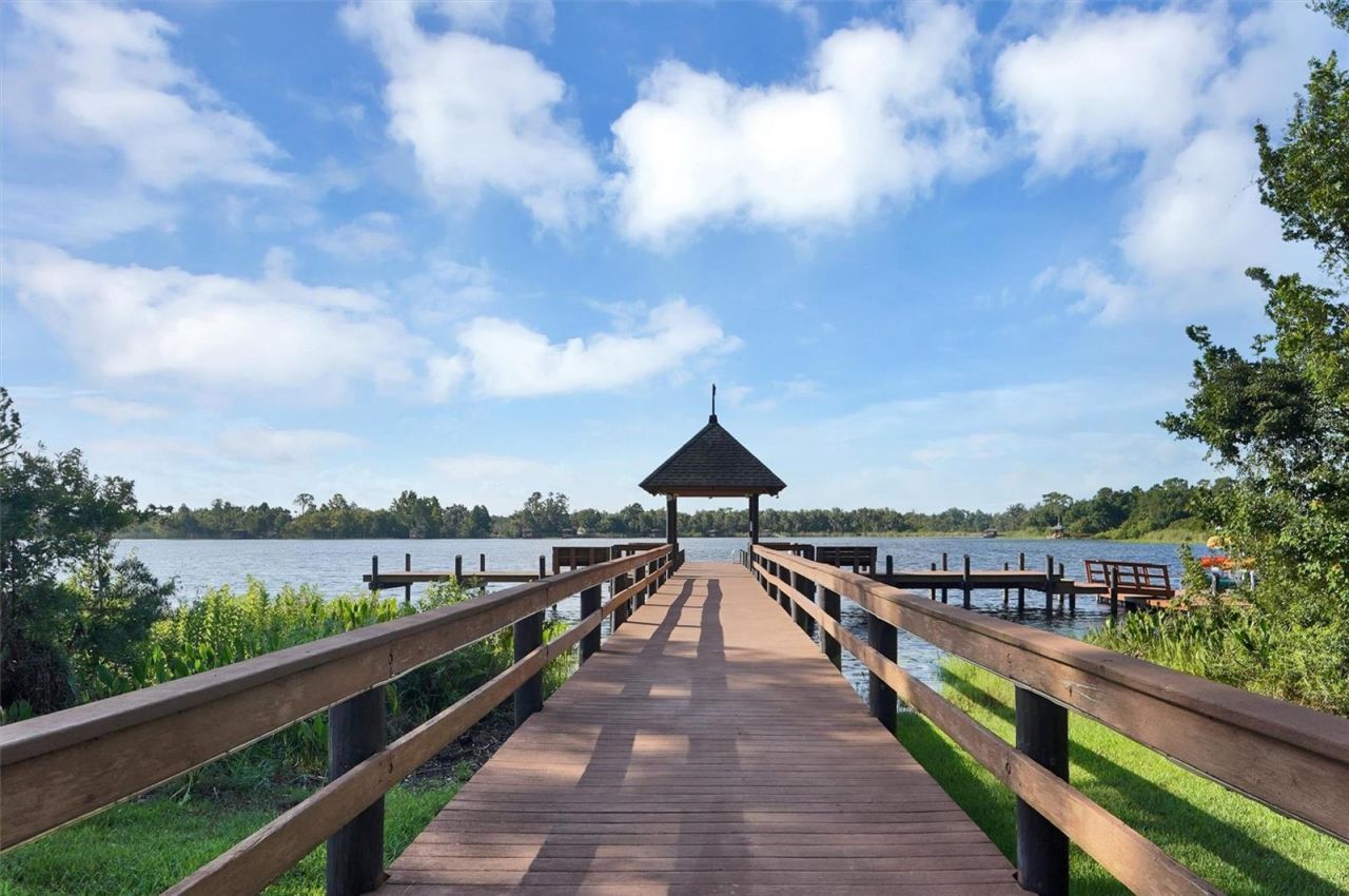 7136 Derwent Glen Circle, Land O Lakes, FL 34637 Photo