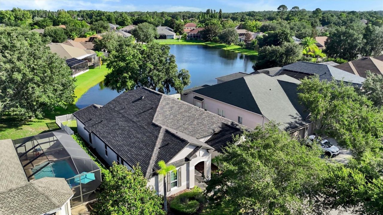 7136 Derwent Glen Circle, Land O Lakes, FL 34637 Photo