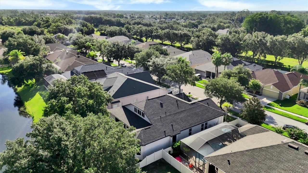 7136 Derwent Glen Circle, Land O Lakes, FL 34637 Photo