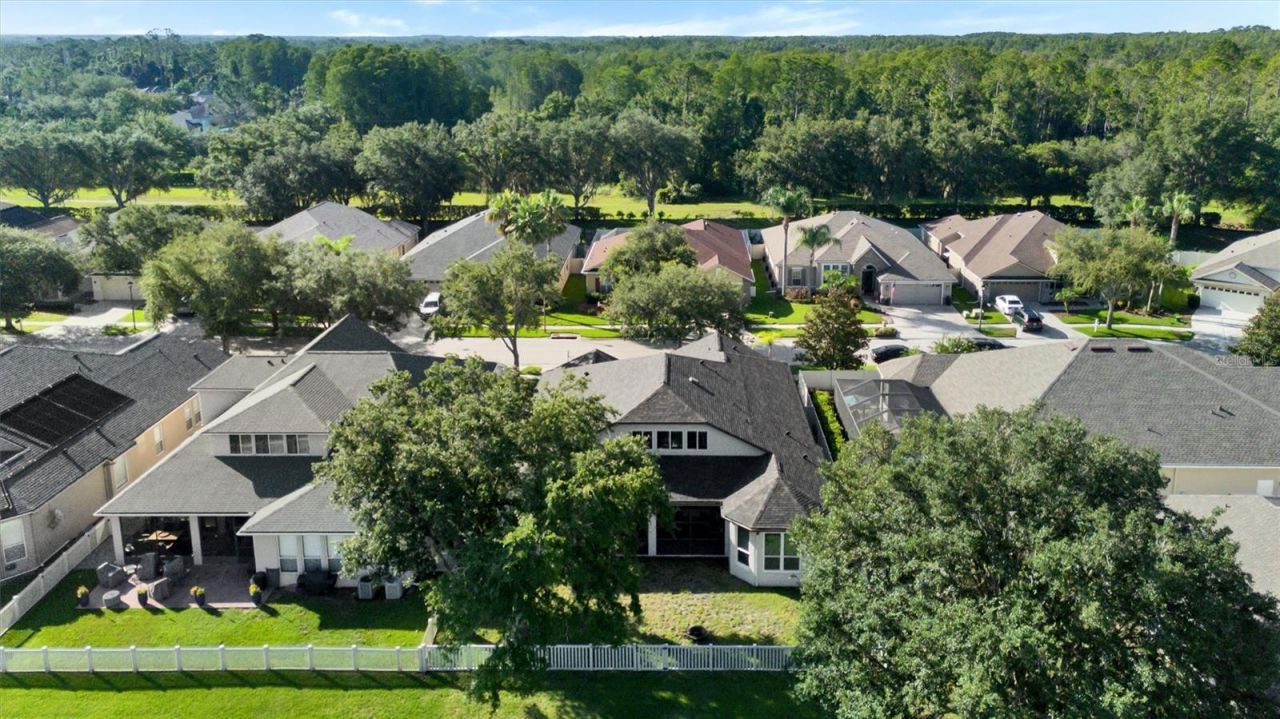 7136 Derwent Glen Circle, Land O Lakes, FL 34637 Photo