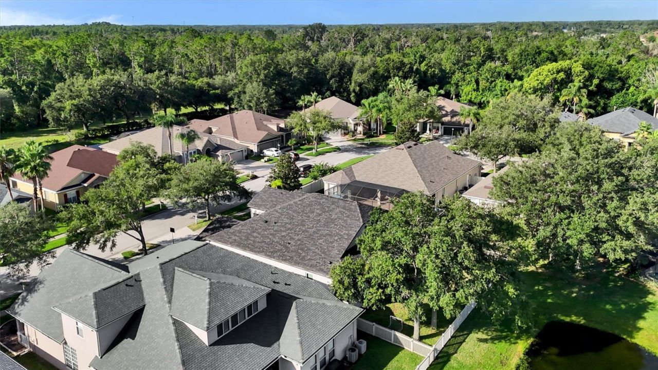 7136 Derwent Glen Circle, Land O Lakes, FL 34637 Photo