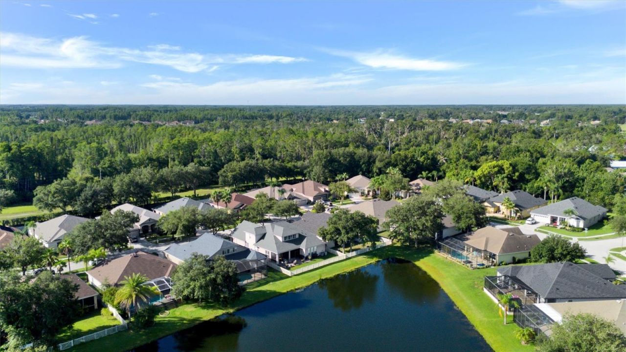 7136 Derwent Glen Circle, Land O Lakes, FL 34637 Photo
