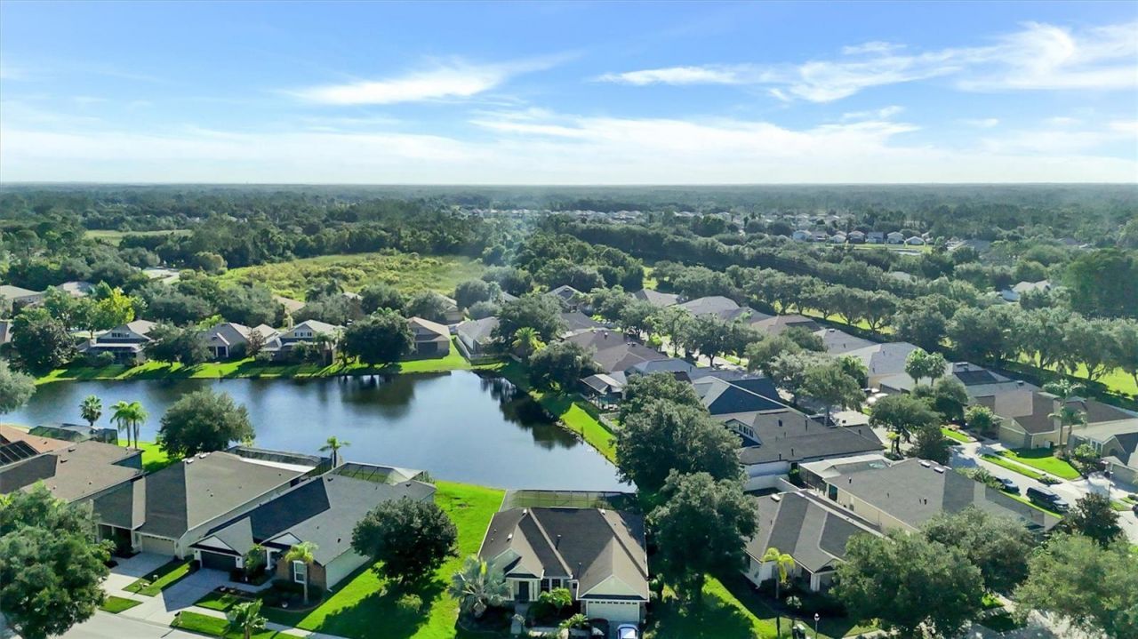 7136 Derwent Glen Circle, Land O Lakes, FL 34637 Photo