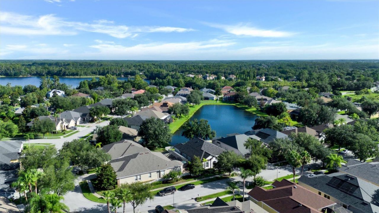 7136 Derwent Glen Circle, Land O Lakes, FL 34637 Photo