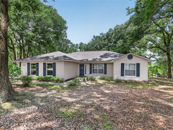 24307 ADAIR AVENUE , SORRENTO, FL 32776