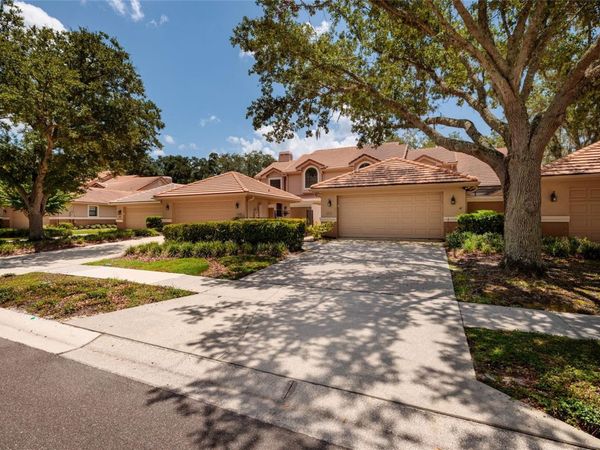 17557 FAIRMEADOW DRIVE, TAMPA, FL 33647