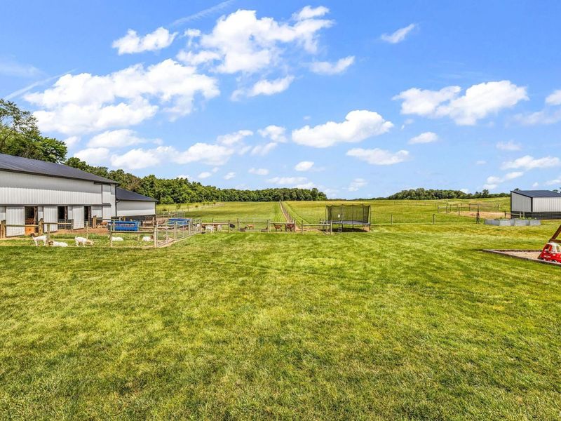 6445 Sycamore Road , Centerburg, OH 43011 Photo 19