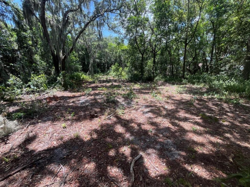 310 Clayton Road, Auburndale, FL 33823 Photo