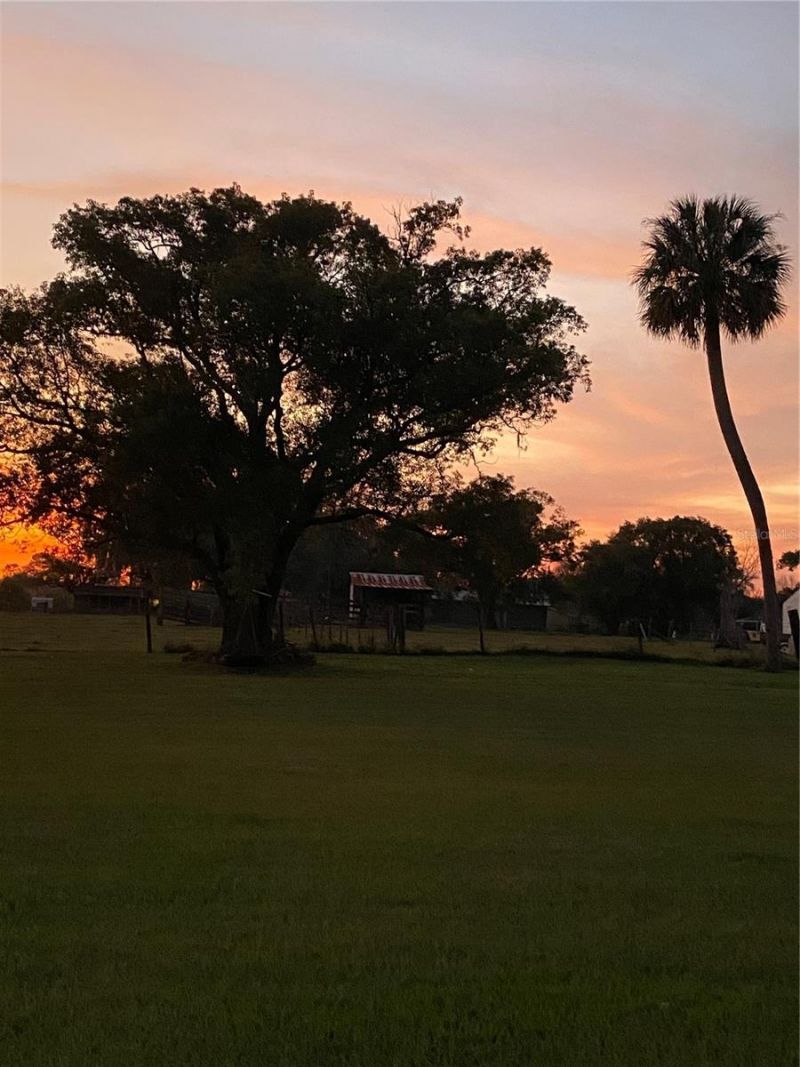 4280 Turner Road, Mulberry, FL 33860 Photo