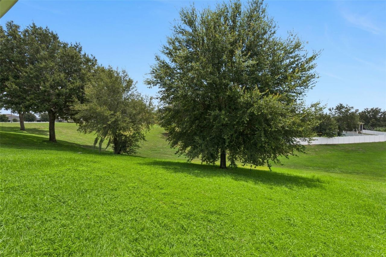 3254 Landing View, Tavares, FL 32778 Photo