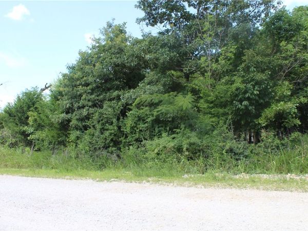019-02950-000 Horseshoe Bend Drive , Lead Hill, AR 72644