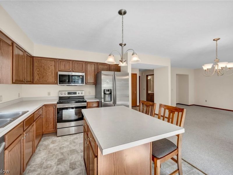 450 Charleton Drive, Medina, OH 44256 Photo 20