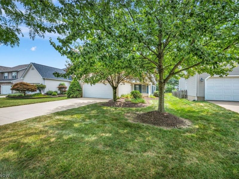 450 Charleton Drive, Medina, OH 44256 Photo 7