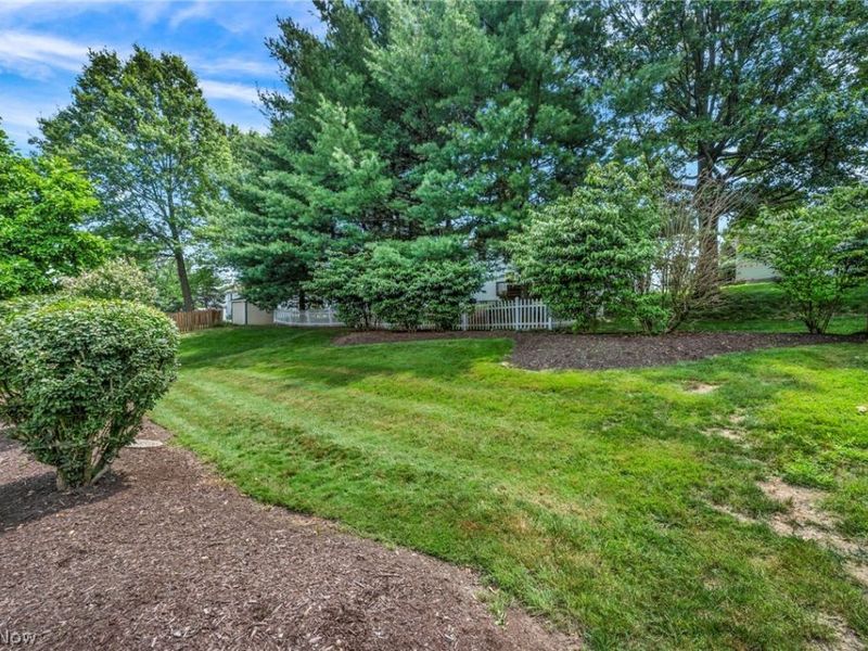450 Charleton Drive, Medina, OH 44256 Photo 8