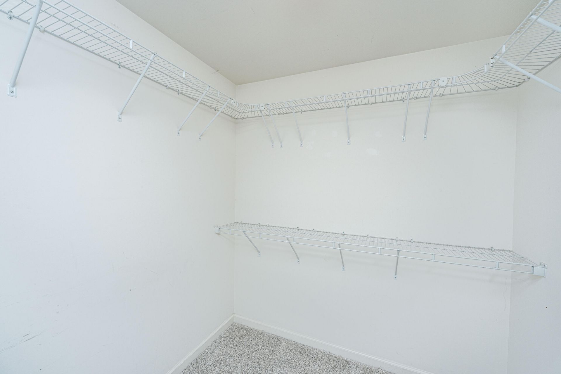 1019 Steelechase Lane Photo 18