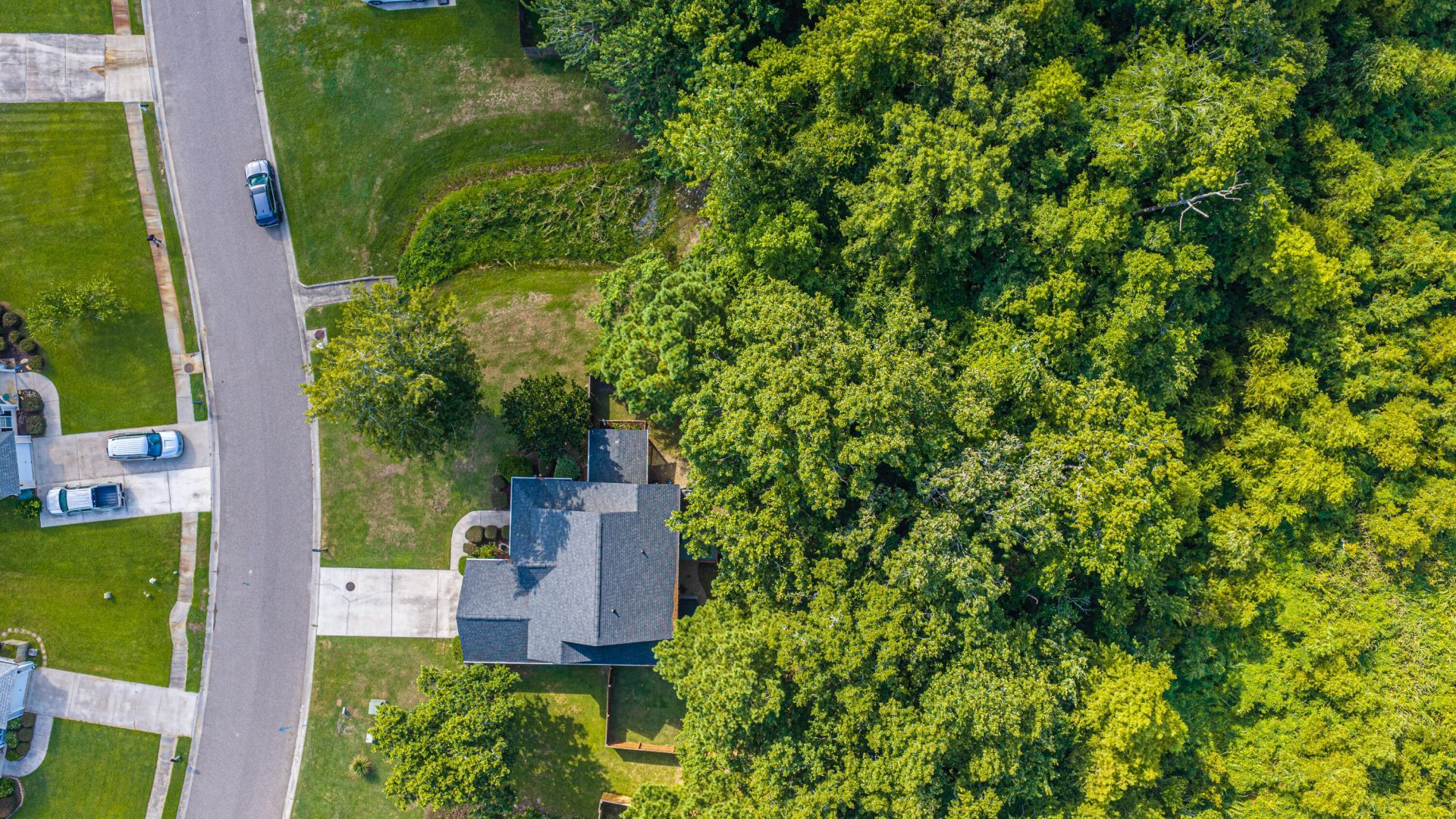 1019 Steelechase Lane Photo 36