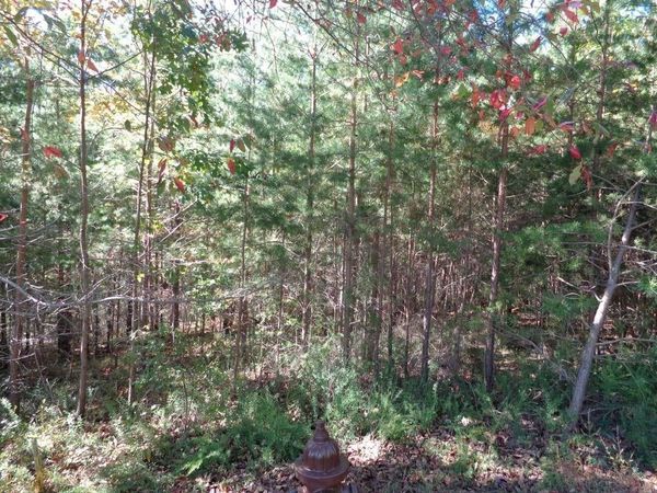 2474 Wedgewood Drive , Big Canoe, GA 30143