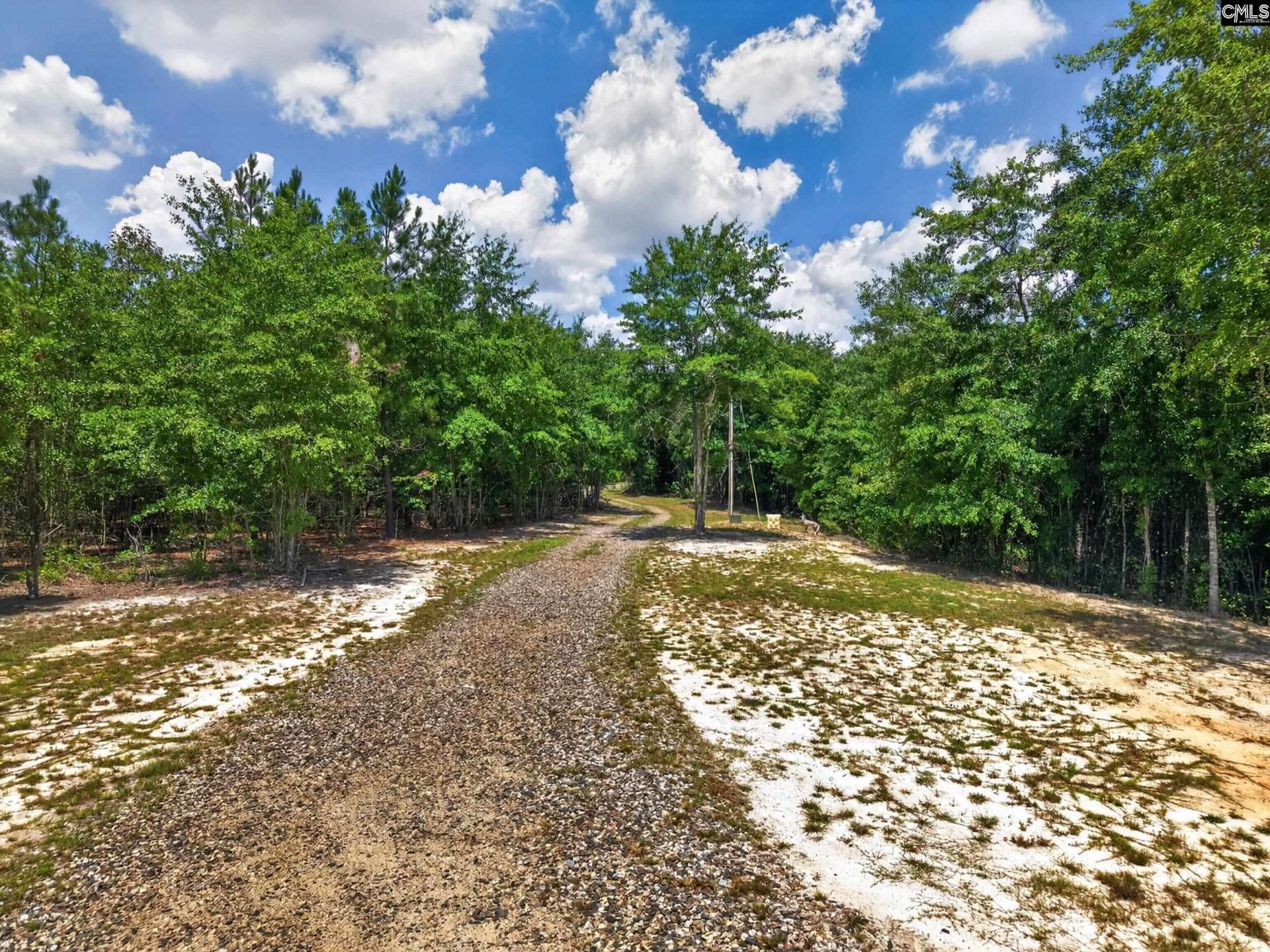 2215 Porter Road  Photo 4