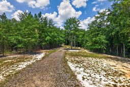 2215 Porter Road  photo 4