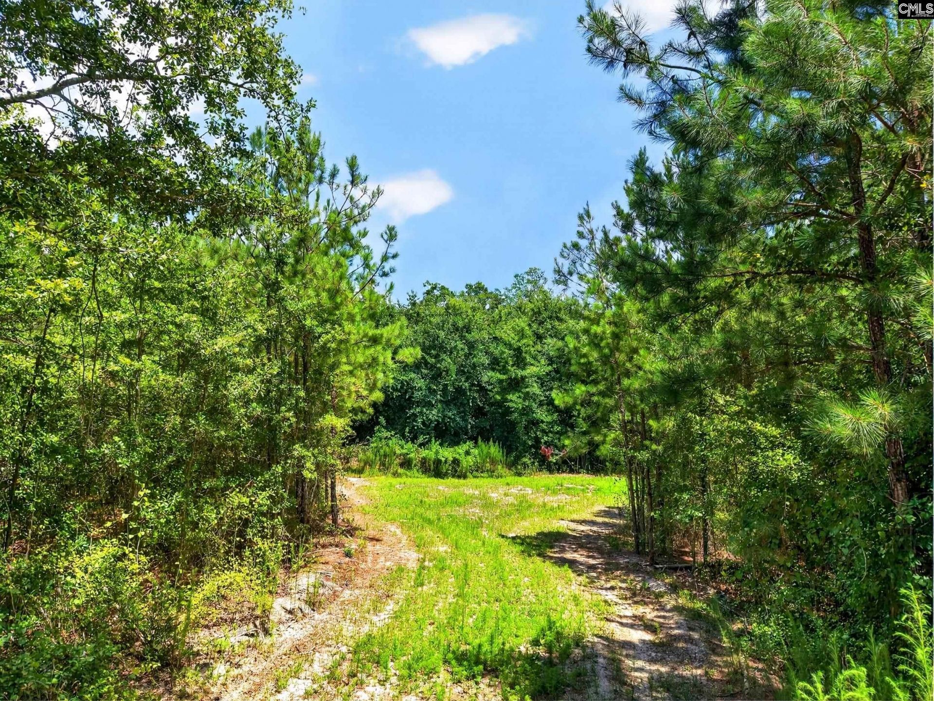 2215 Porter Road  Photo 54
